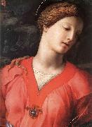 Angelo Bronzino The Panciatichi Holy Family Spain oil painting artist